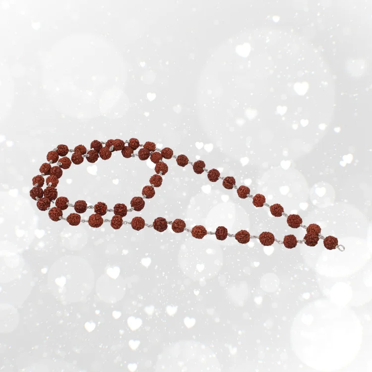 NATURAL RUDRAKSHA  SILVER KAMBI